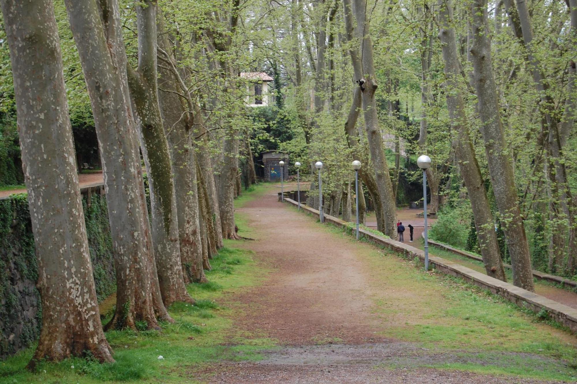 Villa El Solell De L'Avia Olot Exterior foto